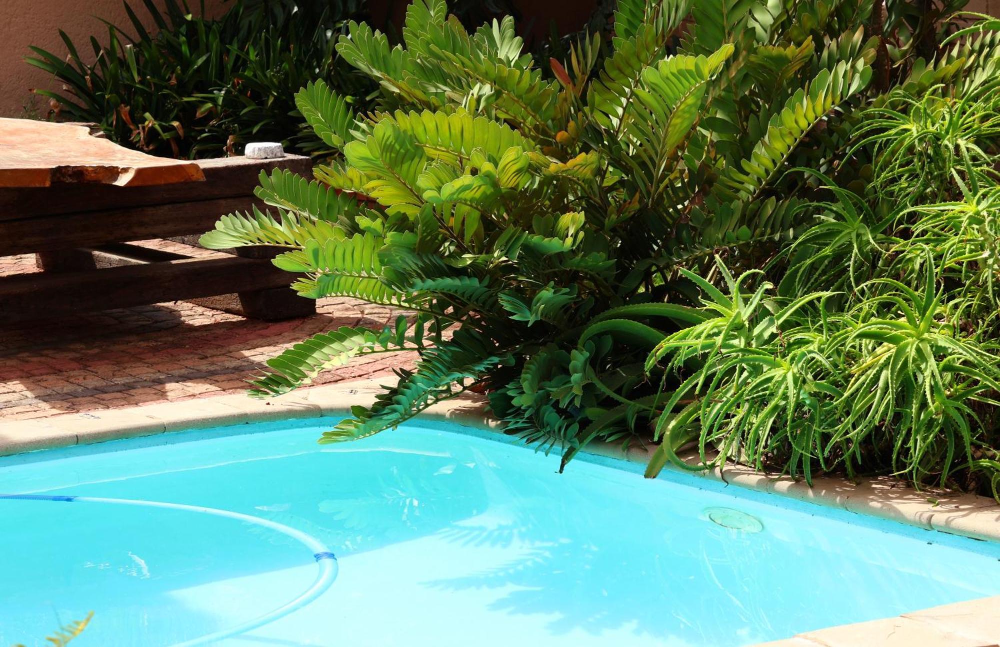 The Leopard Tree Bed and Breakfast Polokwane Exteriör bild